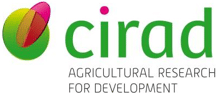 cirad