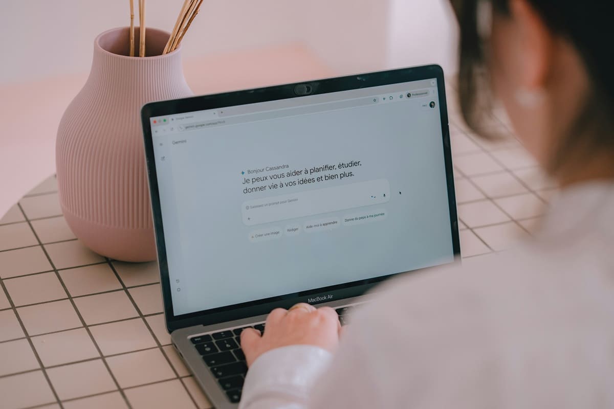 ai act obligations catégories